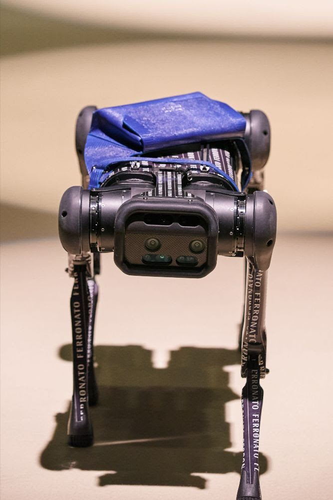 The world's first cyber runway dog at Ferronato x Maison du Mec, Arab Fashion Week Men's, SS23