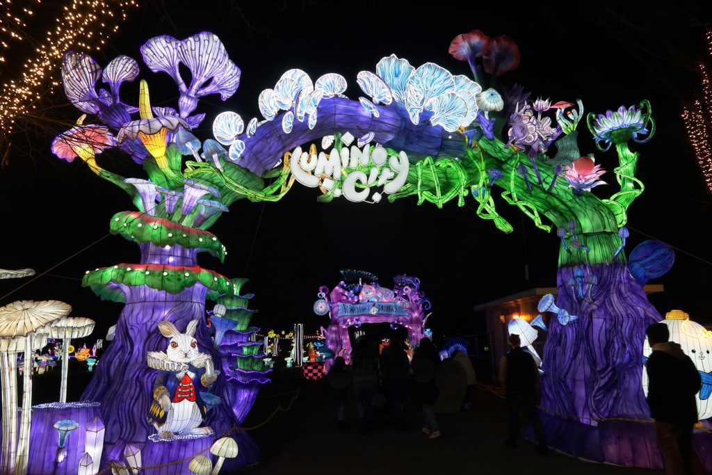 Winter Activities to Get You in the Holiday Spirit
