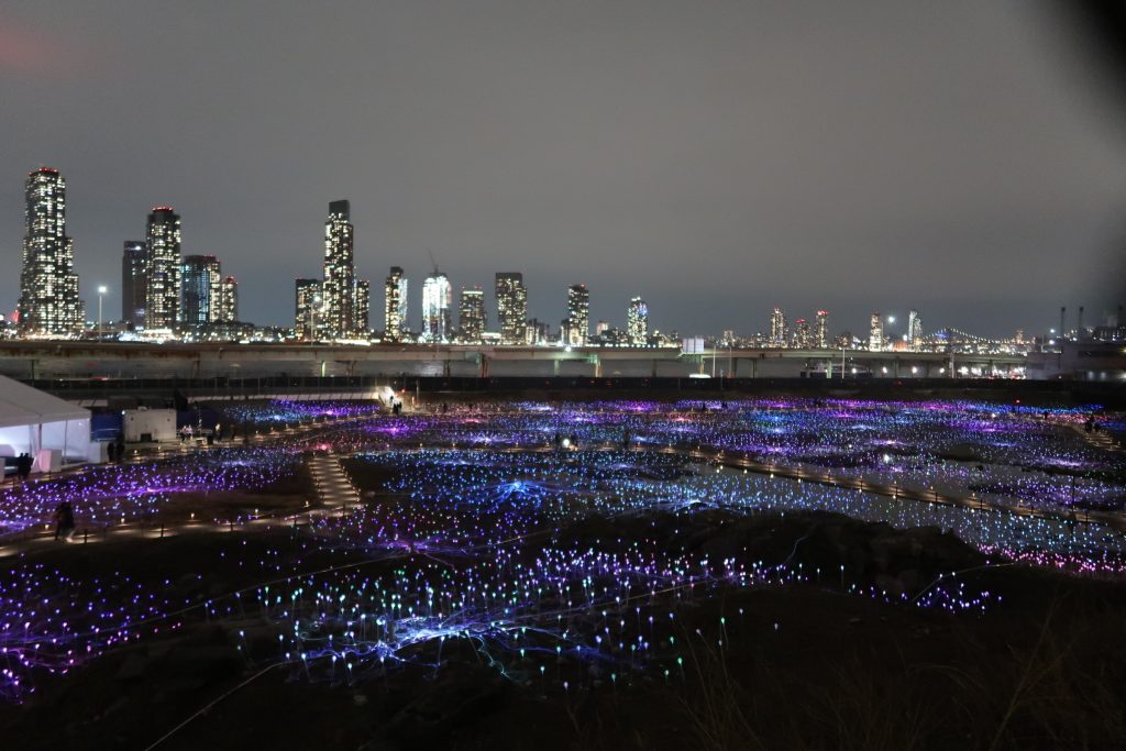 Field of Light 